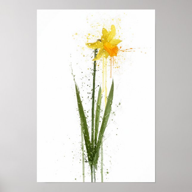 Poster Daffodil (Devant)