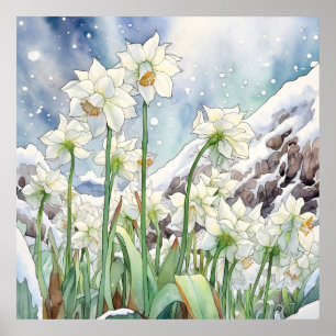 Poster Daffodique Sous Mur De Neige Art, Carré Floral