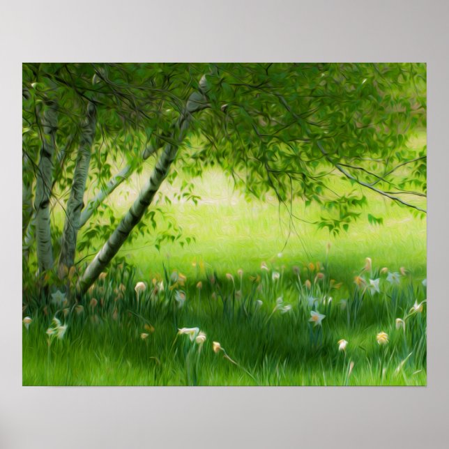 Poster Daffodiques de printemps (Devant)