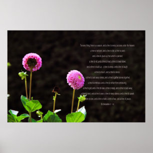 Poster Dahlia Avec Versets Ecclésiastes