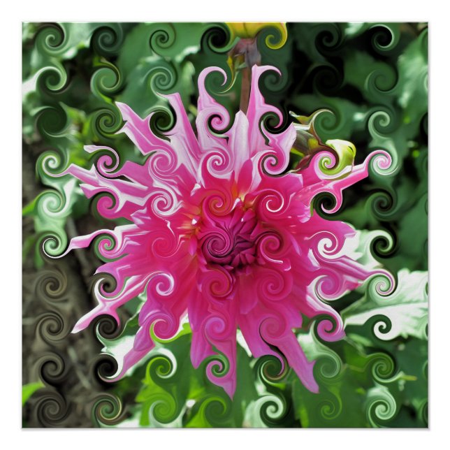 POSTER DAHLIA FLOWER (Devant)