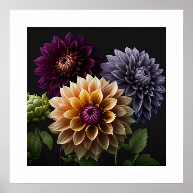 Poster Dahlia Flowers (Devant)