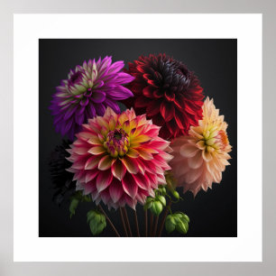 Poster Dahlia Flowers