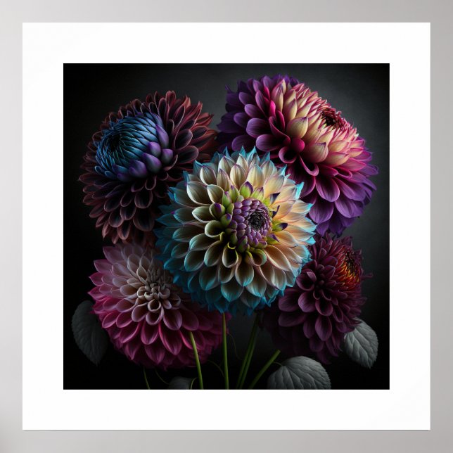 Poster Dahlia Flowers (Front)