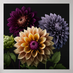 Poster Dahlia Flowers
