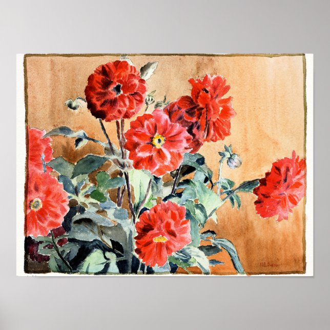 Poster Dahlias, aquarelle botanique (Devant)