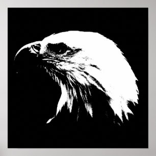 Poster d'aigle