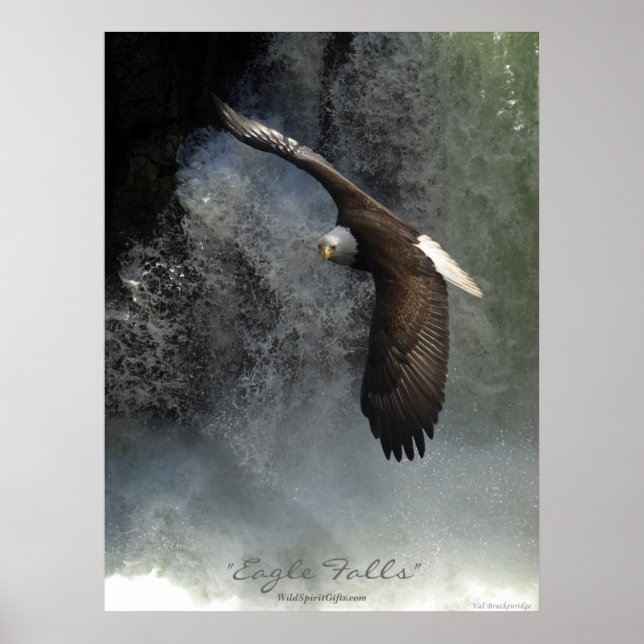 Poster d'aigle et de cascade (Devant)