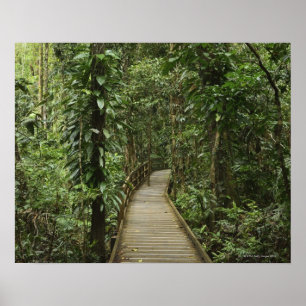 Poster Daintree National Park (UNESCO World Heritage 2