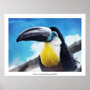Poster d'air brumeux du Toucan