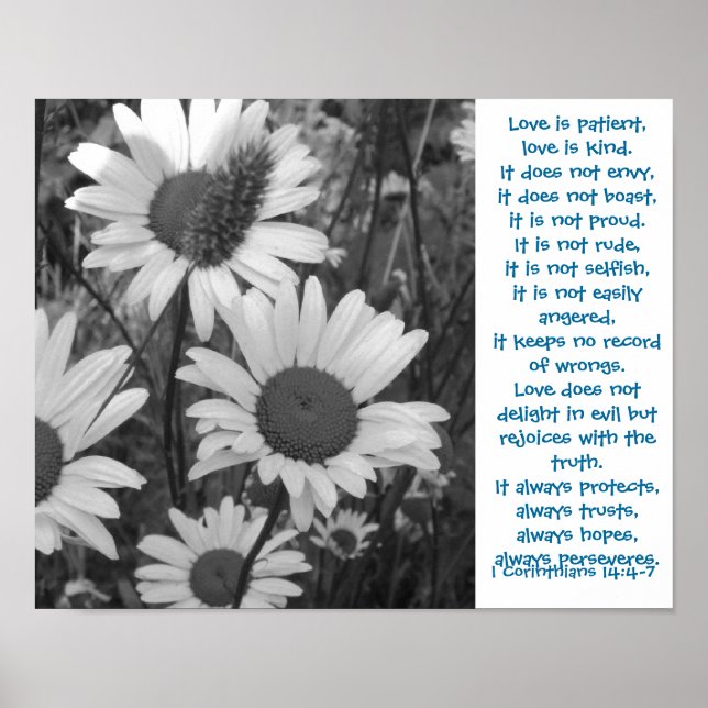 Poster Daisies sauvages Aimer (Devant)