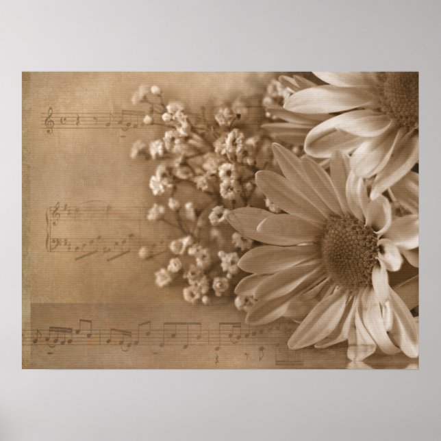 Poster Daisy Bouquet sur la musique (Devant)