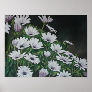 Poster Daisy Chrysanthemum