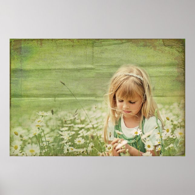 Poster Daisy Daydream (Devant)