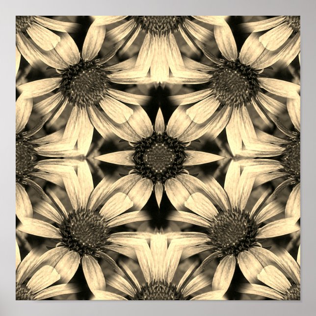 Poster Daisy Flowers Miroir Sepia Abstrait (Devant)