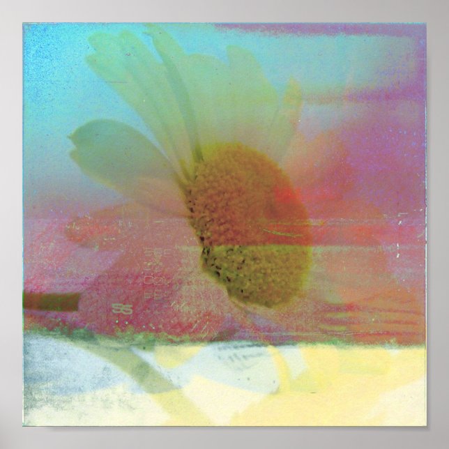 Poster Daisy Glitch (Devant)