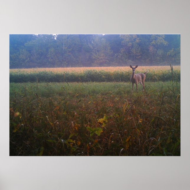 Poster d'Alert Doe (Devant)