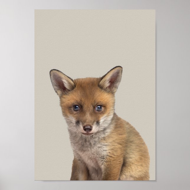 Poster d'allaitement pour bébés animaux - Fox (Devant)