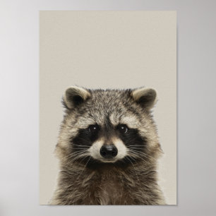 Poster d'allaitement pour bébés animaux - Racoon