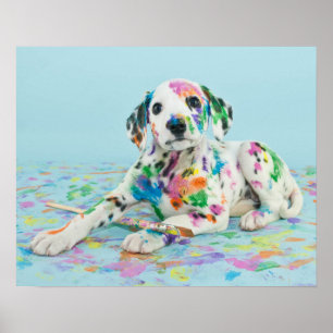 Poster Dalmatian Puppy
