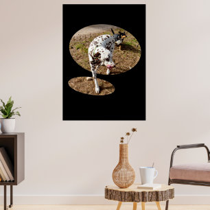 Poster Dalmatie Popout Art,
