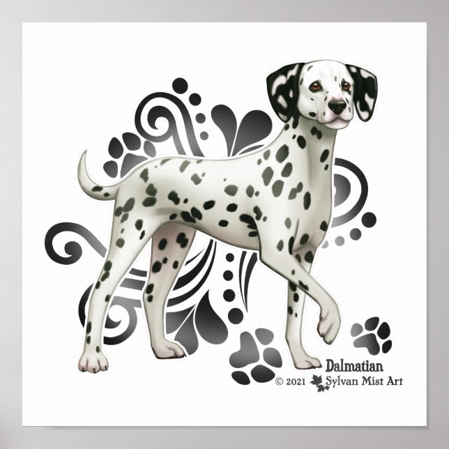 Poster Dalmatien (Devant)