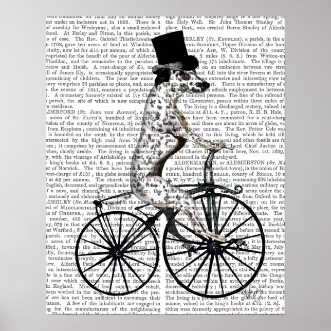 Poster Dalmatien à vélo (Devant)