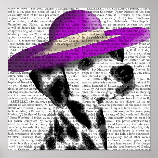 Poster Dalmatien Avec Casquette Violet Large Brimé (Devant)