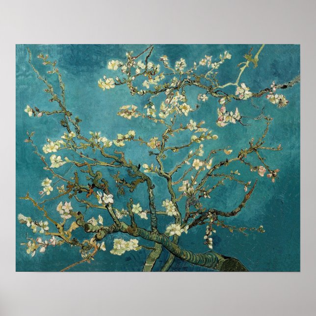 Poster d'amande en fleurs (Devant)