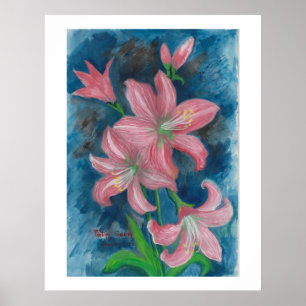 Poster d'amaryllis rose