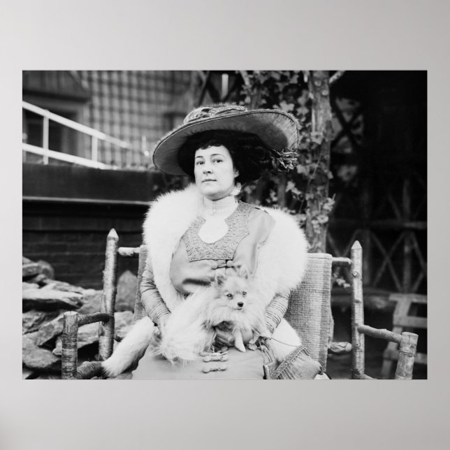 Poster Dame de Poméranie, début des années 1900 (Devant)