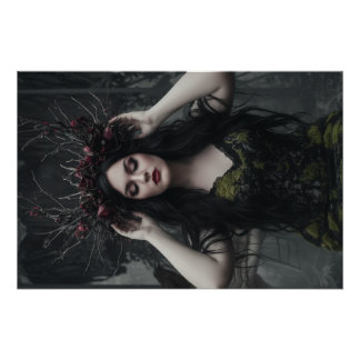 Poster Dame Mystérieuse 2