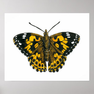 Poster Dame peintre papillon