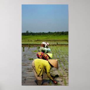 Poster Dames au travail