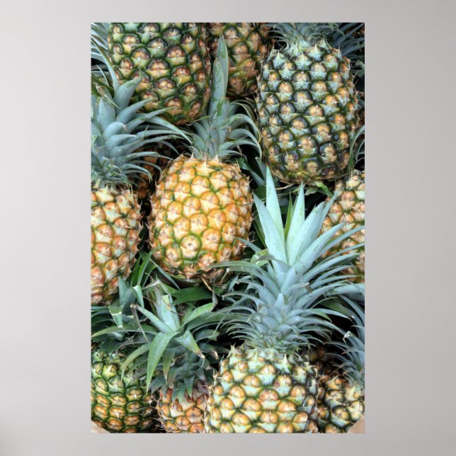 Poster d'ananas hawaïen (Devant)