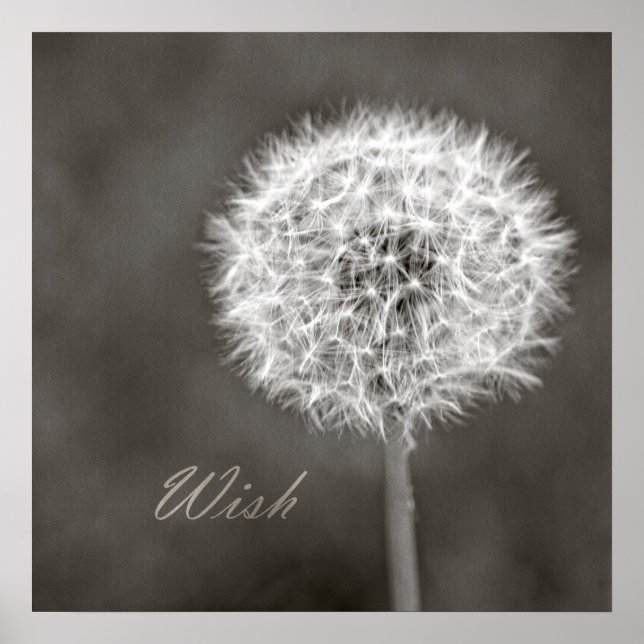 Poster Dandelion de souhaits inspiré (Devant)