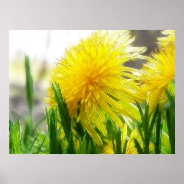 Poster Dandelion Portrait (Devant)