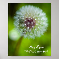 Dandelion "Que tous vos voeux se réalisent !" Post