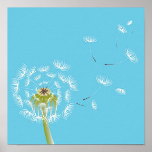 Poster Dandelion sky blue and white art