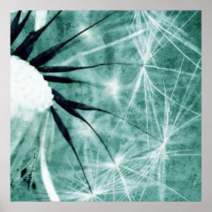 Poster Dandelion sorte - fleur d'haleine art 2012 008