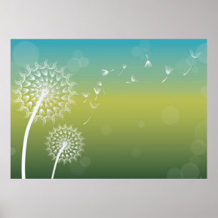 Poster Dandelion Vent Flower