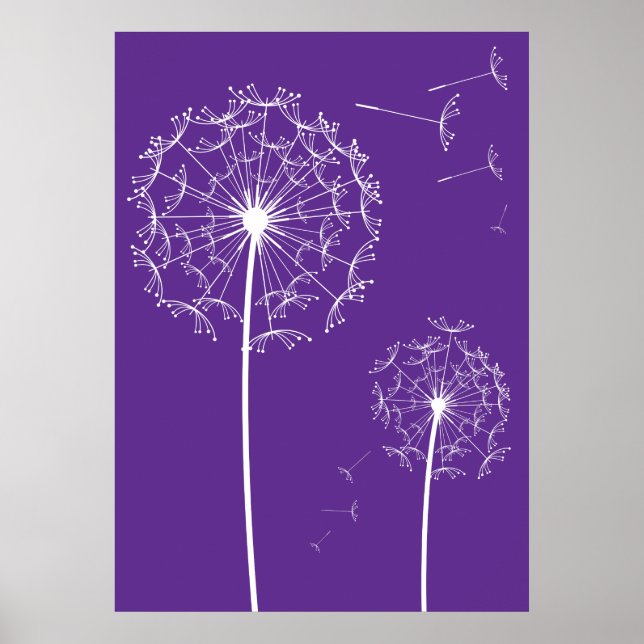 Poster dandelion violet (Devant)