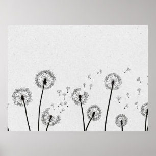 Poster Dandelions Fleurs Pappus Spores Gris