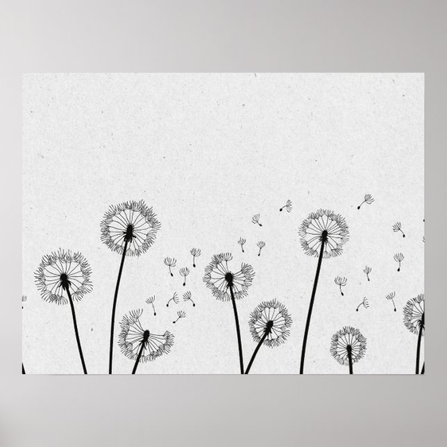 Poster Dandelions Fleurs Pappus Spores Gris (Devant)