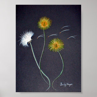 Poster Dandelions Imprimer Grand