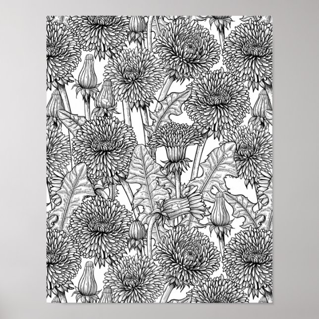 Poster Dandelions, noir et blanc (Devant)