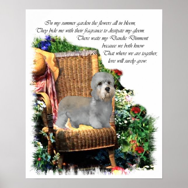 Poster Dandie Dinmont Terrier Imprimer (Devant)