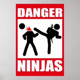 Poster Danger Ninjas