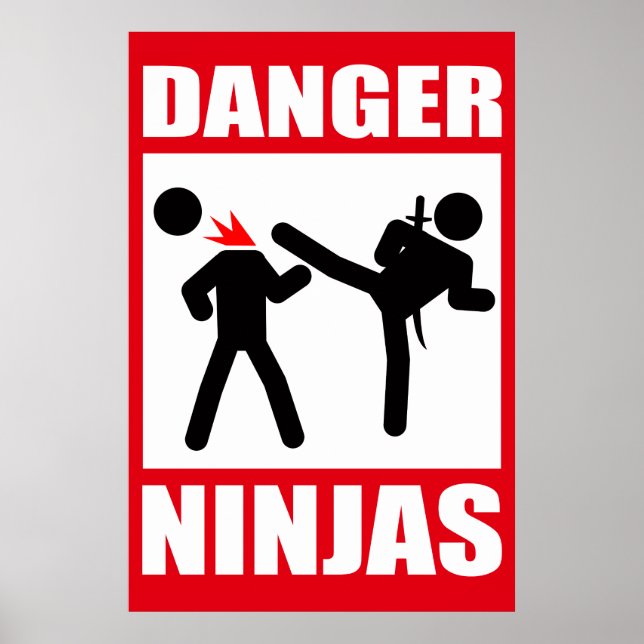 Poster Danger Ninjas (Devant)