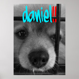 poster_daniel!! poster